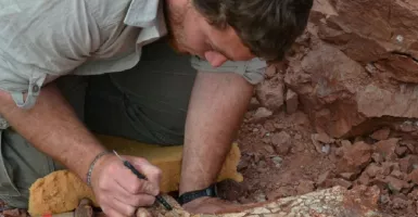 Peneliti Temukan Fosil Naga Maut, Rentang Sayapnya 9 Meter