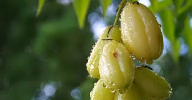 4 Khasiat Luar Biasa Belimbing Wuluh, Obati Diabetes dan Jerawat