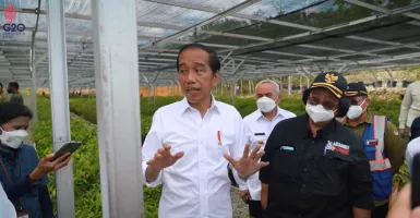 Pakar Apresiasi Upaya Jokowi Jaga Pasokan Pangan Nasional
