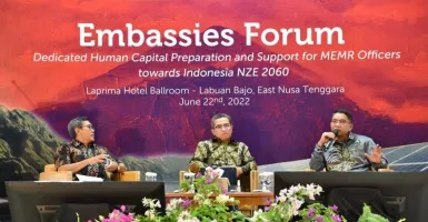 Yudo Dwinanda: G20 Dukung Kemajuan Transisi Adil dan Aman