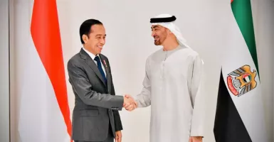 Jokowi dan Presiden Emirat Arab Sepakati Perjanjian, Isinya Wow!