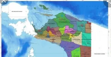 Ada 3 DOB Papua, KoDe Inisiatif: UU Pemilu Harus Diubah