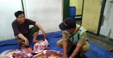 369 Kg Jeroan Sapi dan Domba Kurban Dimusnahkan di Kota Bandung