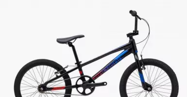 Spesifikasi dan Harga Sepeda BMX Polygon, Ramah Dompet