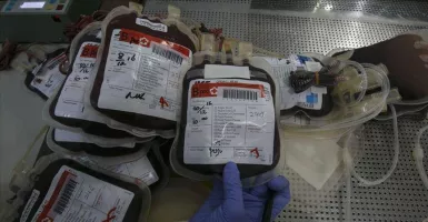 PMI Temukan Kantong Darah Terkontaminasi Penyakit Menular, Parah