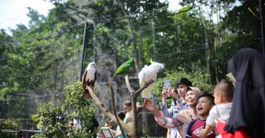 Mengenal Kebun Binatang Bandung dari Ahli Sejarah UPI