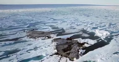 Es Zombie Mengancam, Permukaan Air laut Seluruh Dunia Bisa naik 25 CM