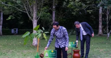5 Jenis Benih Pohon Ditanam Delegasi G20 di Pelataran Borobudur
