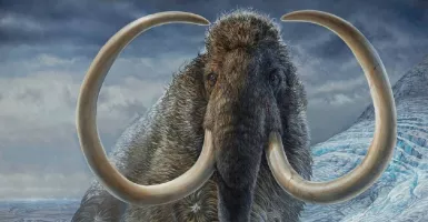 Tidak Biasa, CIA Ingin Menghidupkan Lagi Gajah Purba Mammoth