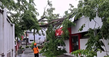 BMKG Sebut Jawa Tengah Bakal Dilanda Cuaca Ekstrem, Waspada!