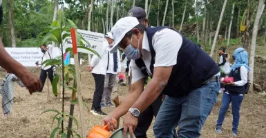PLN Dukung Pengembangan Agroforestry untuk Mengurangi Angka Lahan Kritis