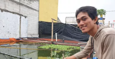 Bisnis Ternak Ikan Air Tawar di Dekat Rumah, Cuan Wahid Mengalir Deras