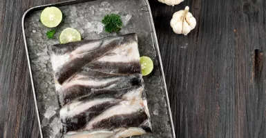 Makan Ikan Lele Ternyata Manfaatnya Luar Biasa, Rugi Kalau Tak Suka