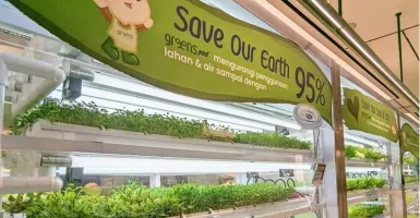 Restoran Greens Jakarta Unik: Petik Dahulu, Lalu Dimakan