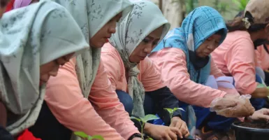 Selangkah Lebih Maju Jelang Ramadan, Mak Ganjar Tanam Ratusan Cabai