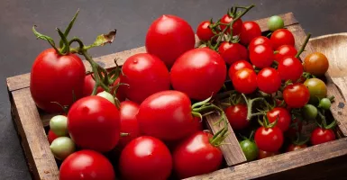 5 Manfaat Makan Tomat untuk Kesehatan, Atasi Diabetes dan Bikin Jantung Sehat