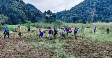 Perhutani Respons Soal Area Edelweis Rusak Dilindas Trail di Bandung