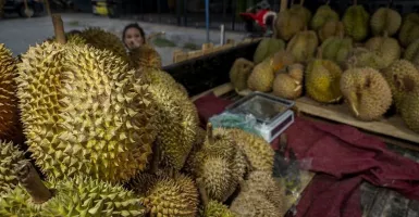 Catat! Ada Festival Durian Montong di Sulteng Pada Mei 2023