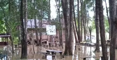 5 Kecamatan di Batanghari Jambi Banjir, Debit Sungai Terus Dipantau