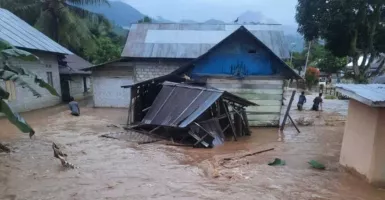 Banjir di Gorontalo Utara, Hanyutkan Rumah dan Sapi Milik Warga