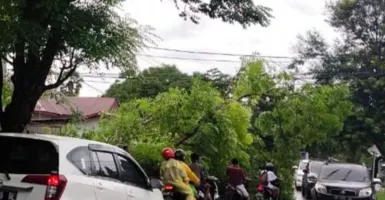BMKG Imbau Warga NTT Waspada Cuaca Ekstrem Dampak Bibit Siklon Tropis