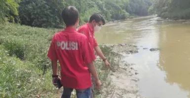 Penyebab Ribuan Ikan Mati di Sungai Cileungsi Bogor Belum Diketahui