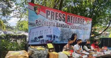 Penyelundupan 67,8 kg Sisik Trenggiling dari Jawa Barat dan Banten Digagalkan