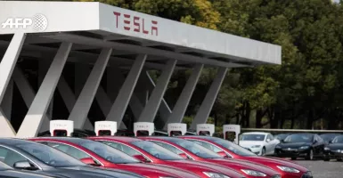 Sudah Dilobi Luhut Pandjaitan, Tesla Malah Bangun Pabrik di China