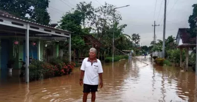 748 Rumah Warga Terendam Banjir di Jember Jawa Timur