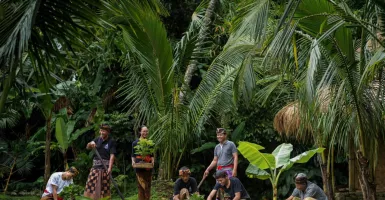 The Apurva Kempinski Bali Luncurkan Pertanian Organik, Gandeng Samsara Museum