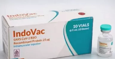Penerima Vaksin Primer Pfizer Bisa Booster dengan IndoVac Bio Farma