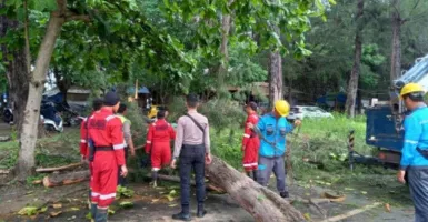 BMKG Jelaskan Penyebab Angin Kencang di Bengkulu hingga Timbulkan Korban