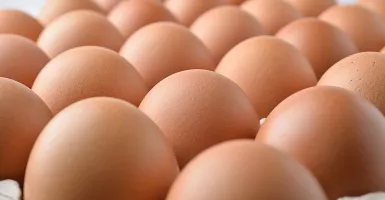 5 Cara Jitu Mengetahui Telur Busuk, Jangan Sampai Keliru