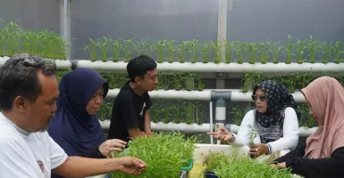 Dukung Inovasi Warga, Orang Muda Ganjar Renovasi Greenhouse
