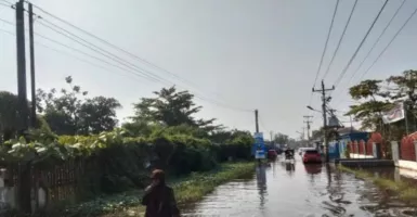 Banjir Rob di Pekalongan, Sejumlah Wilayah Masih Tergenang Air