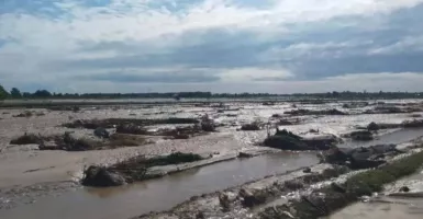 386 Hektare Lahan Terdampak Bencana Banjir di Parigi Moutong