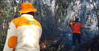 BPBD Sebut Kebakaran Lahan di Nagan Raya Mencapai 13 Hektare