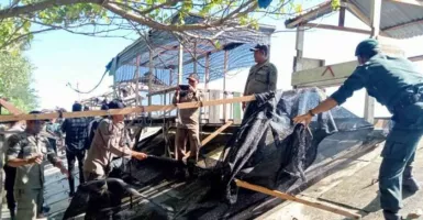Petugas Gabungan Bongkar Sejumlah Kafe di Kawasan Wisata Aceh Barat