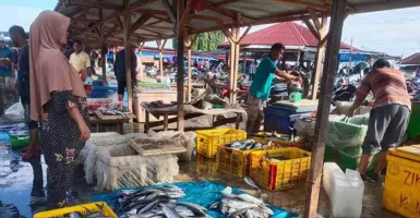 Harga Ikan di Aceh Timur Turun, Jenis Tongkol Rp 10 Ribu per Kg