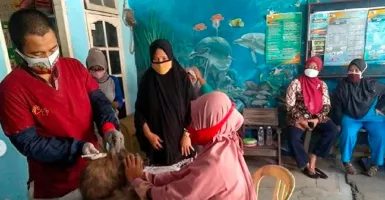 Jakarta Waspada! Kasus Gigitan Hewan Penularan Rabies Meningkat, 4 Hewan ini Bisa Jadi Penyebab