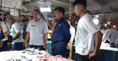 Harga Ayam Potong di Kupang Naik, Warga Disarankan Beli Ikan