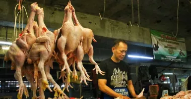 Harga Daging Ayam Masih Tinggi, Ini yang Dilakukan Pemprov Jabar
