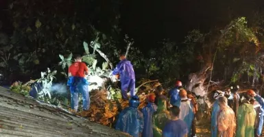 Bencana di Ambon, Rumah dan Kios Rusak Tertimpa Pohon Tumbang