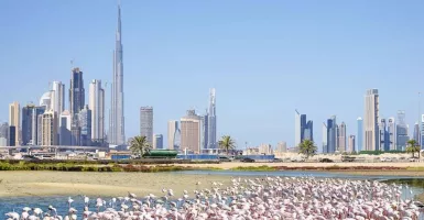 5 Hidden Gems Dubai yang Jarang Diketahui, Traveler Wajib Catat!