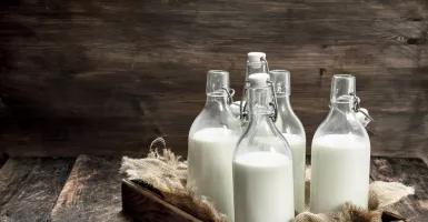Susu Sapi vs Susu Kerbau: Mana yang Lebih Sehat?