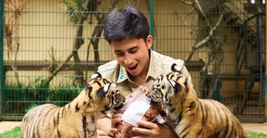 Anak Harimau Mati, Alshad Ahmad Dirujak Netizen, Putri Ria Ricis Galau