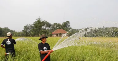 Selamatkan Petani Maja, Gardu Ganjar Beri Bantuan Mesin Pompa Air