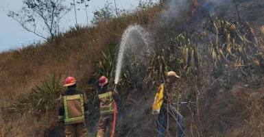 Kebakaran Hutan di Gunung Guntur Garut Disebabkan Ulah Kelompok Remaja SMP