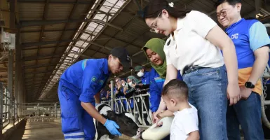 Intip Keseruan Nagita Slavina dan Cipung Kunjungi Pabrik Susu di Subang