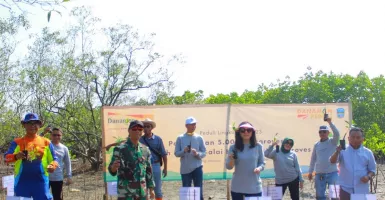 Upaya Pengurangan Risiko Bencana di Pangandaran, Danamon Tanam 5.000 Pohon Mangrove